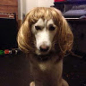 Meet your Posher, Kay